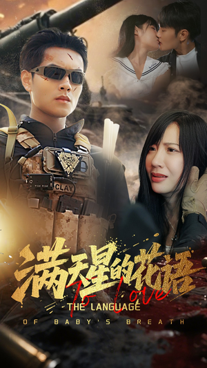 满天星的花语(全集)