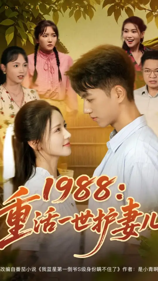 1988重活一世护妻儿(全集)