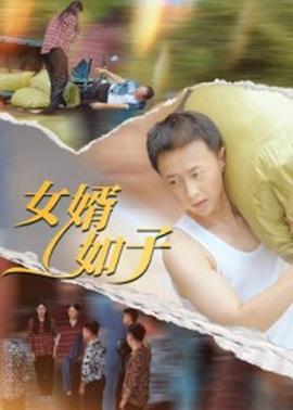 女婿如子(全集)