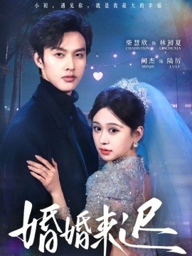 婚婚来迟(全集)
