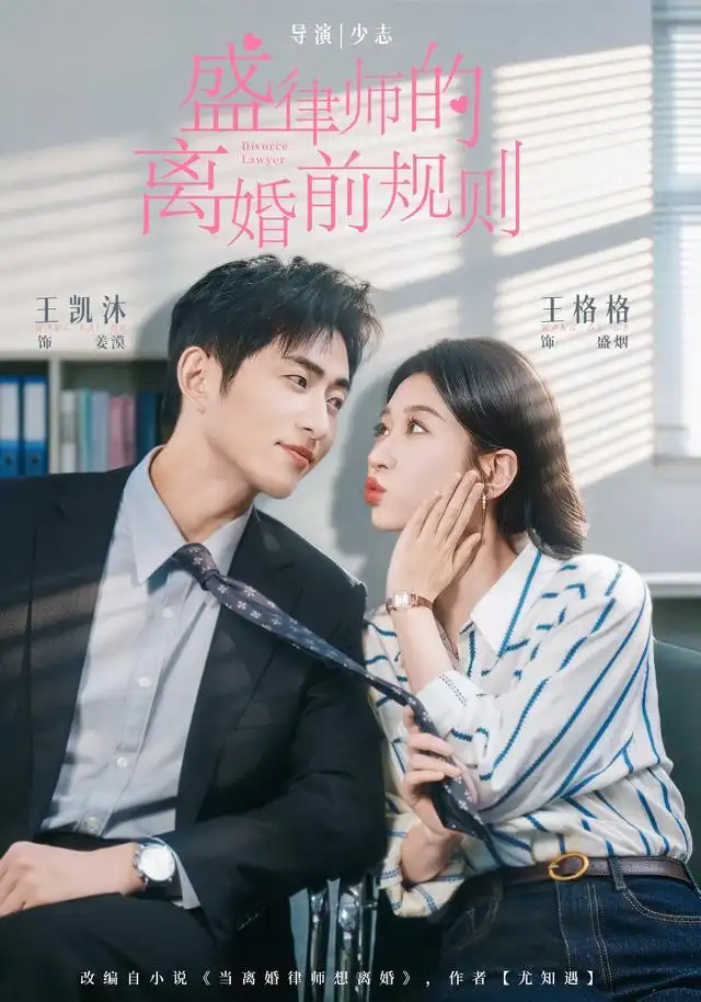 盛律师的离婚前规则(全集)